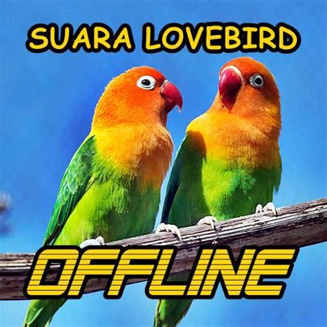 download mp3 kicau burung lovebird